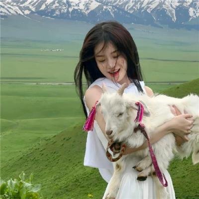 血战纳尔维克